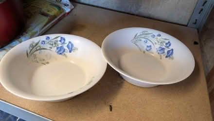 Photo of free Bowls plastic (Purley CR8) #1