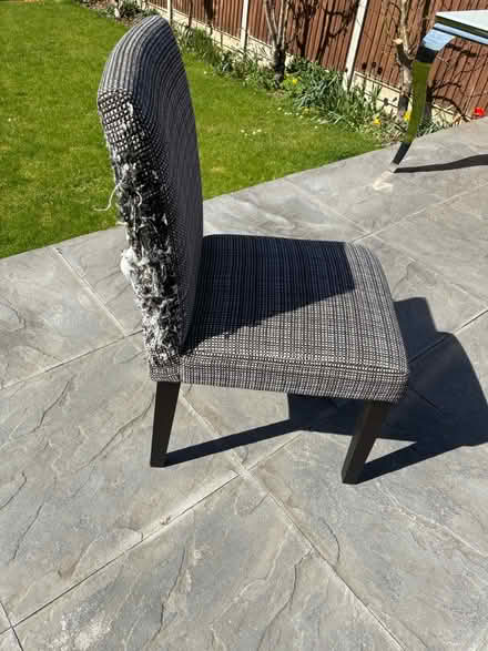 Photo of free Dining chairs x 4 (Old town SG1) #2