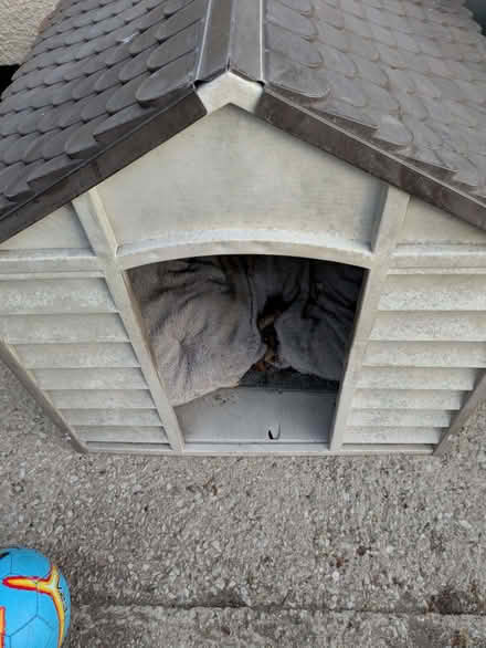 Photo of free Dog kennel (Westgate LA4) #3