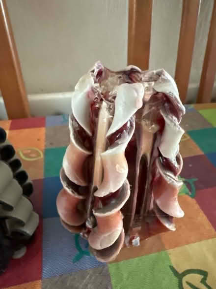 Photo of free Part used decorative candles (Ashford TW15) #4