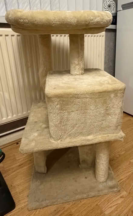 Photo of free Cat Tower - must go today (Sunday) (Edlesborough LU6 2) #2