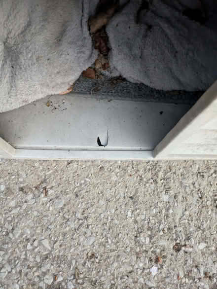 Photo of free Dog kennel (Westgate LA4) #2