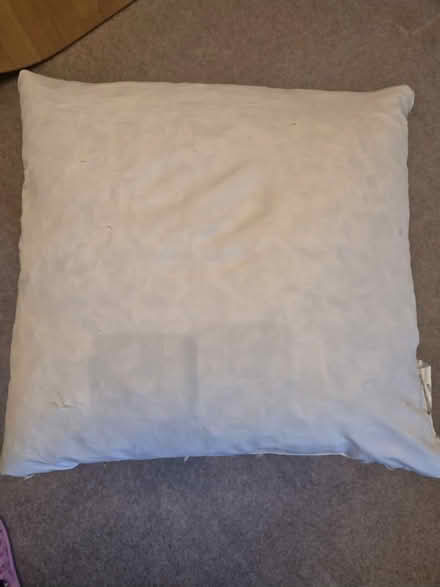 Photo of free Feather pillow (Dursley, Cam) #1