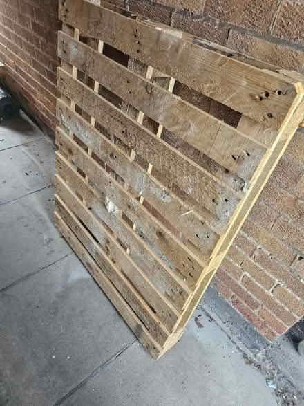 Photo of free Plain wooden pallet (Wirral) #2