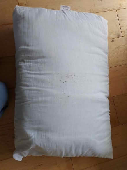 Photo of free Slumbering pillow (Kilmacanogue, North Co Wicklow) #3