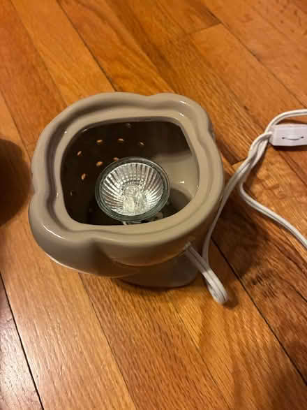 Photo of free Owl wax warmer (Saugerties) #3