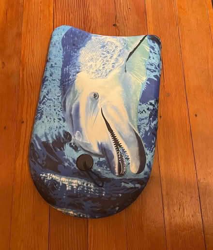 Photo of free Swimming float (New Malden KT3) #1