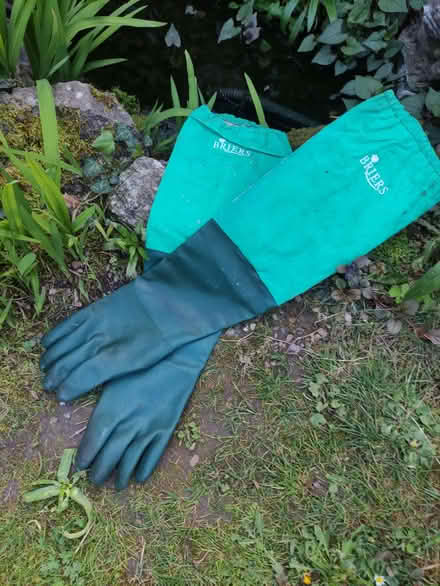 Photo of free Pond gloves (Ovingdean BN2) #1