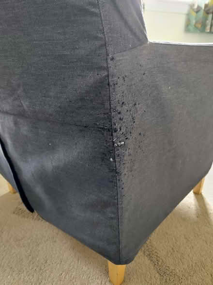 Photo of free Armchair IKEA KARLSTAD (Neilston) #2