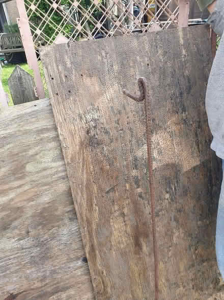 Photo of free Plywood 3/4 inch (Enfield EN2) #1