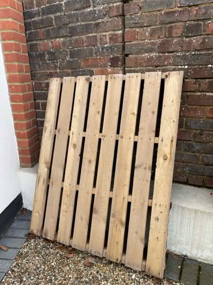 Photo of free Wooden pallet (Orpington, BR6) #1