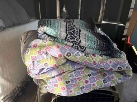 Photo of free Dog blankets (Northville) #2