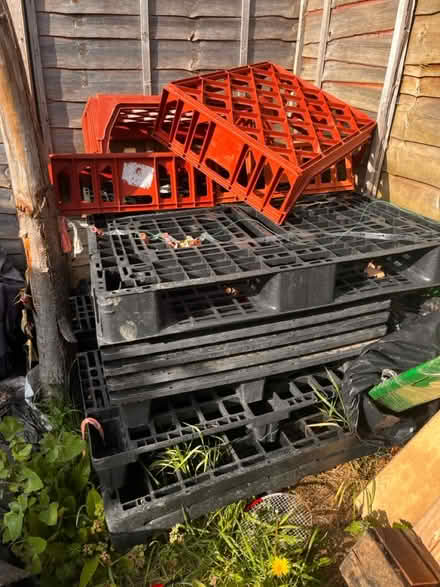 Photo of free Wooden and Plastic pallets (Ub60ln) #4