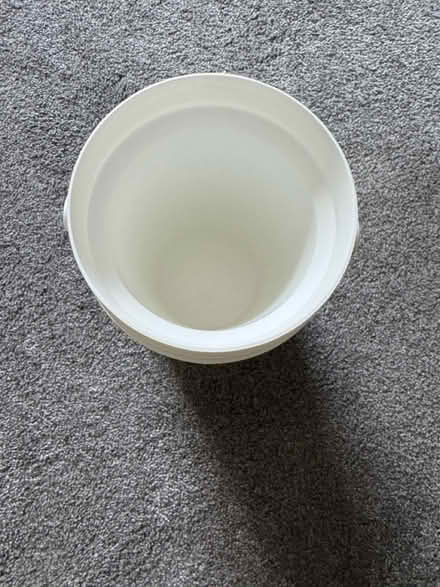 Photo of free Igloo Cooler (Downers Grove - South) #2