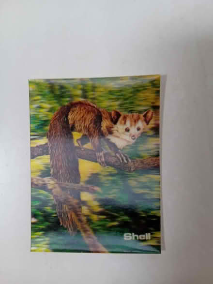 Photo of free 3D World Wildlife Fund Picture cards from 1980s (Lamorbey DA15) #3