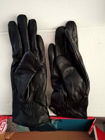 Photo of free Ladies Leather gloves M (Hucknall NG15) #1
