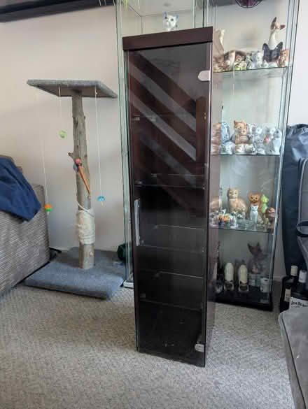 Photo of free Glass front cabinet (Eaglestone MK6) #1