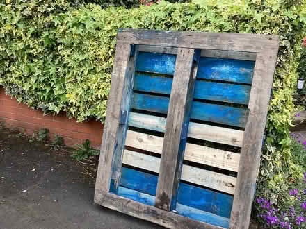 Photo of free 1 wooden pallet (West Bromwich) #2