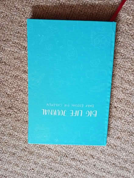 Photo of free Child's "Big Life Journal" (Welling DA16) #1