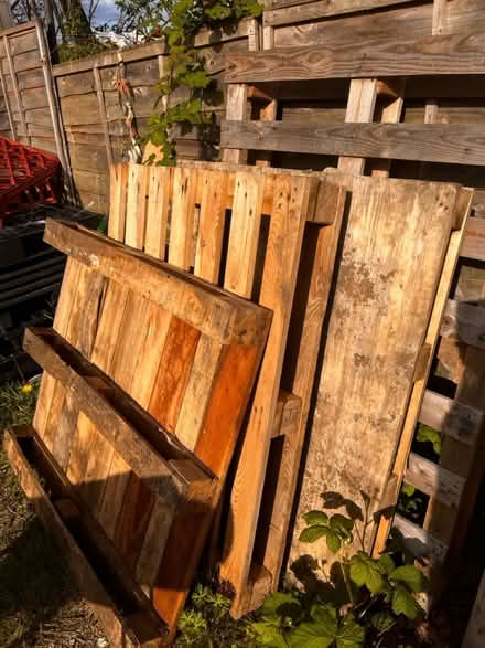 Photo of free Wooden and Plastic pallets (Ub60ln) #3