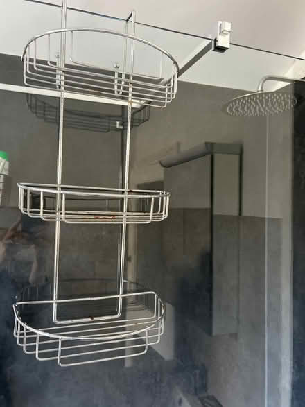 Photo of free Shower tidy (Bear flat) #1