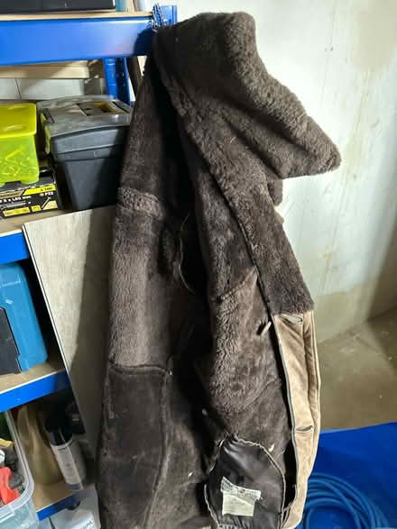 Photo of free Lambskin Coat (Hillsborough S6) #3