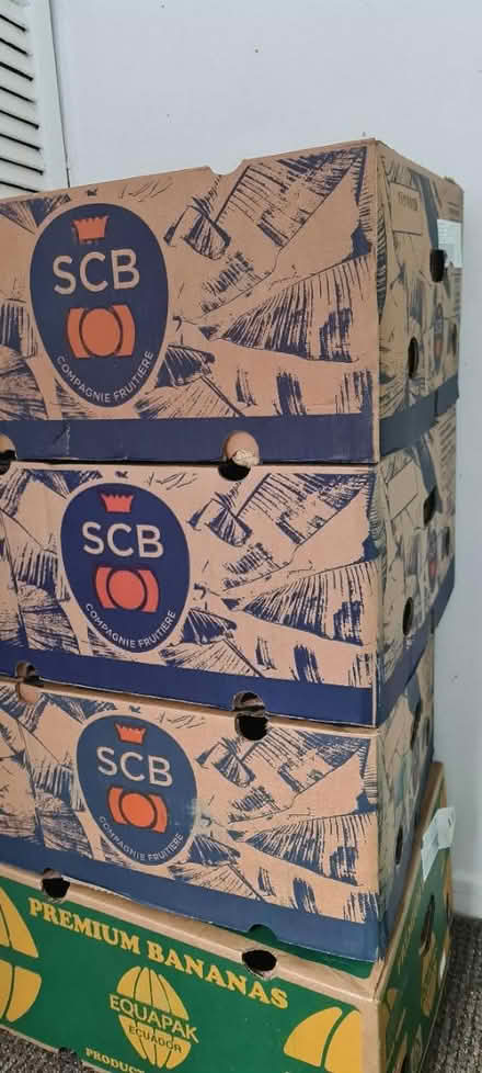 Photo of free 10 Sturdy banana boxes (Leigh) #1