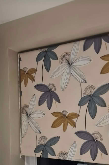 Photo of free Blackout roller blind (Gleedless (S12)) #1