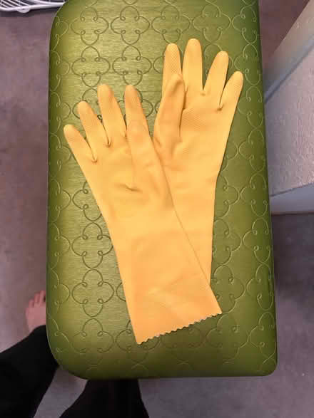 Photo of free Dish Rack, Dish Tray & Gloves (West San Jose 95128) #3