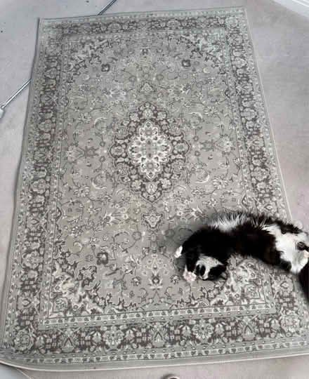Photo of free Grey rug (cat not included) (Winchester SO22) #1