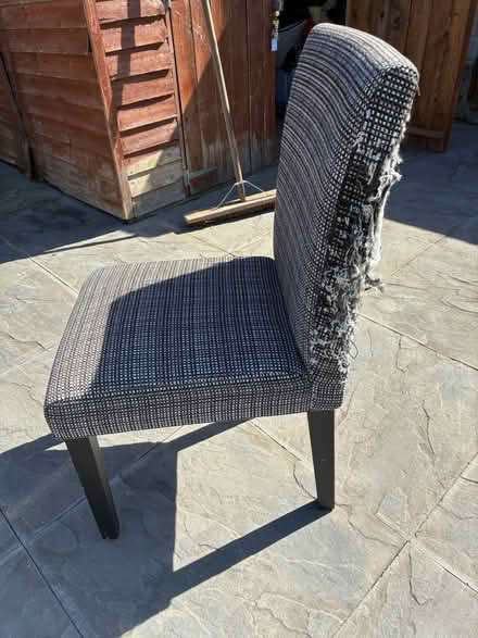 Photo of free Dining chairs x 4 (Old town SG1) #4