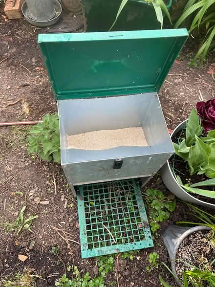 Photo of free Treadle feeder for hens (Upper Norwood SE19) #1