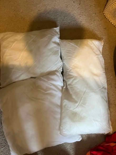 Photo of free Cushion inners (Brixton Hill SW2) #1