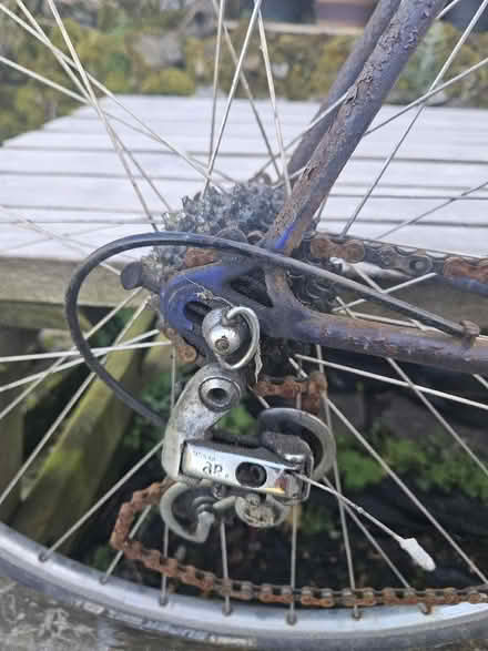 Photo of free Mercian Bike, Needing A Lot Of Love (Bonsall DE4) #3