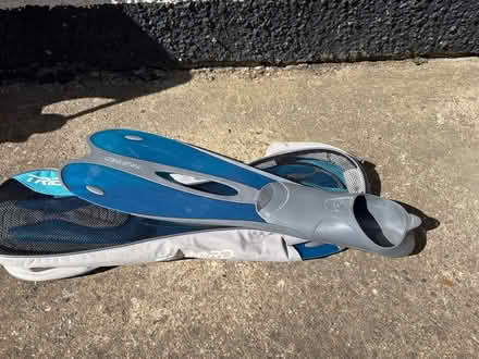 Photo of free Swimming flippers (Enfield EN3) #2