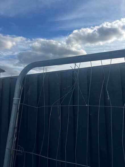 Photo of free Temp construction fence/Heras (Basingstoke RG21) #2