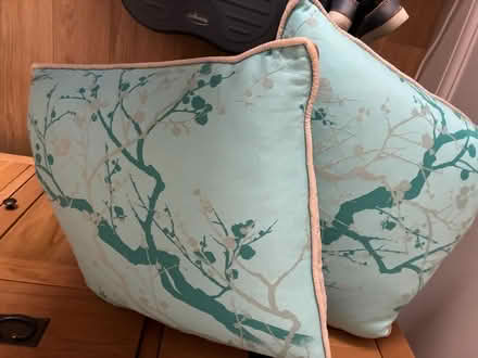 Photo of free Turquoise cushons (pair) (Whyteleafe, CR3) #1
