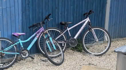 Photo of free Bikes (BN27) #1