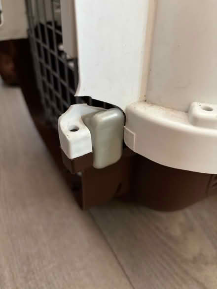 Photo of free Pet Carrier (Ashingdon SS4) #4