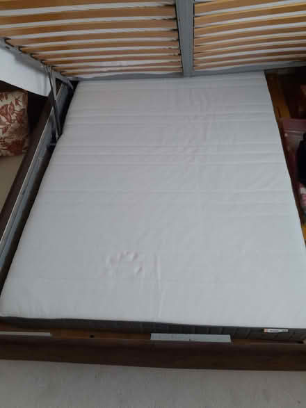 Photo of free Double Mattress (Eastbourne BN20) #1