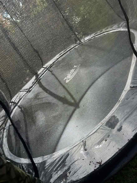 Photo of free Telstar 8ft oval trampoline (Gamston NG2) #3