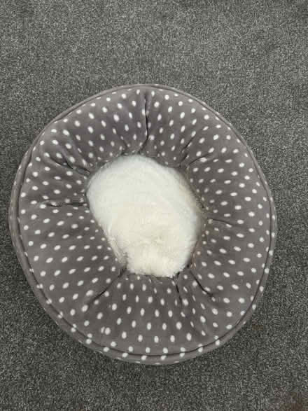 Photo of free Pet bed (Dalkeith EH22) #1