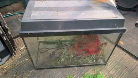 Photo of free Fish tank (Grimsbury OX16) #1