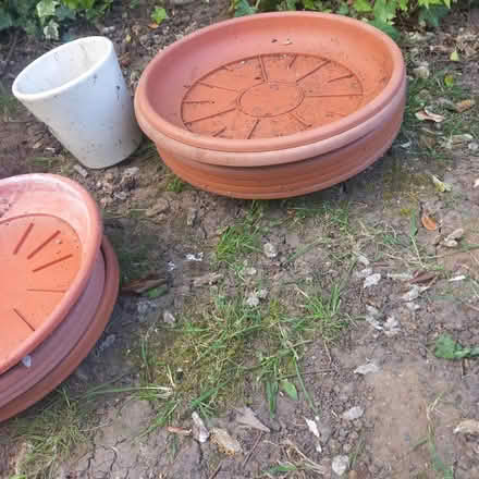 Photo of free Garden pots (Watford WD24) #2