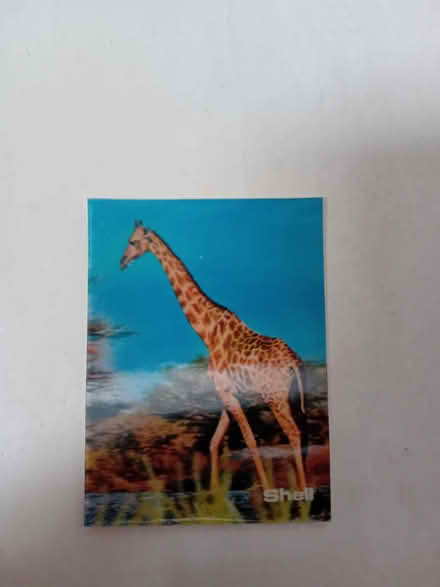 Photo of free 3D World Wildlife Fund Picture cards from 1980s (Lamorbey DA15) #1