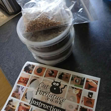 Photo of free Cat Grass Growing Kit (CT14) #1