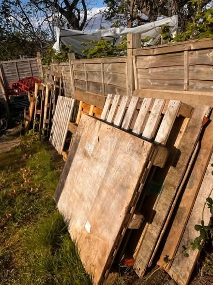 Photo of free Wooden and Plastic pallets (Ub60ln) #2