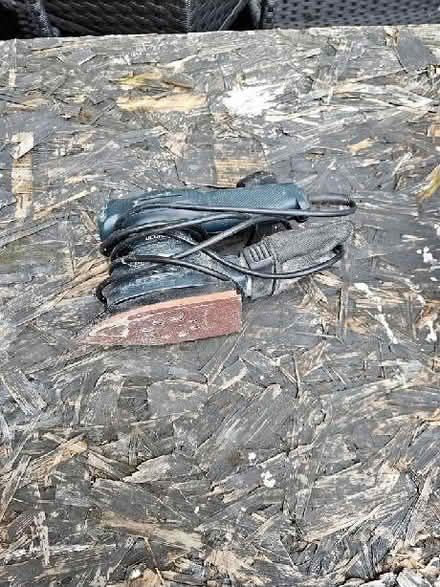 Photo of Sander (Aigburth L17) #1