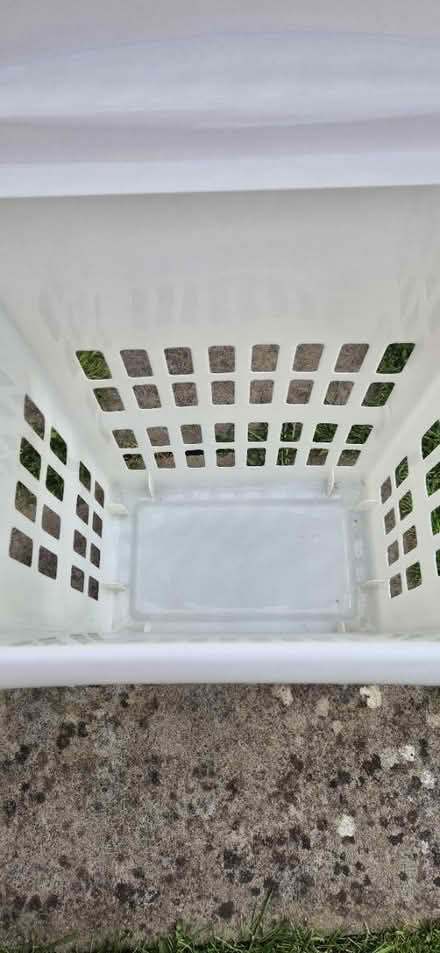 Photo of free Washing basket (GL51) #3