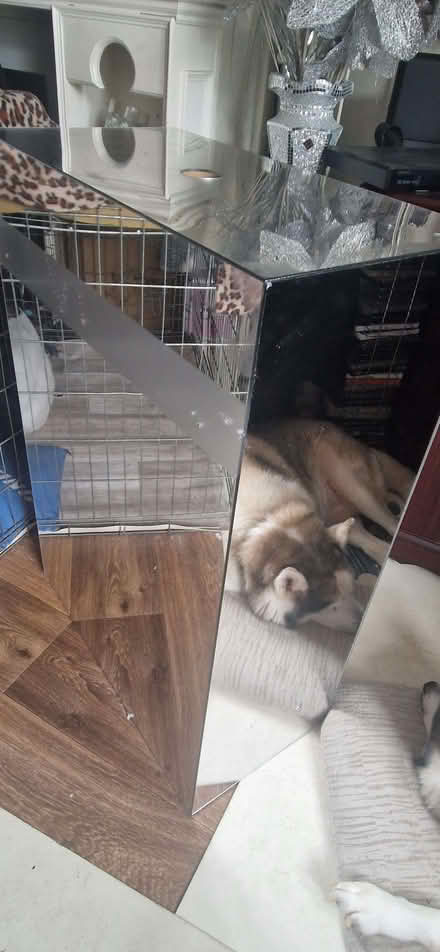 Photo of free X2 Large floor standing mirrored display boxes (Gravelly Hill B24) #1